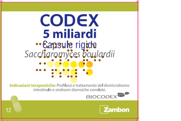CODEX*12CPS 5MLD 250MG - Farmapre