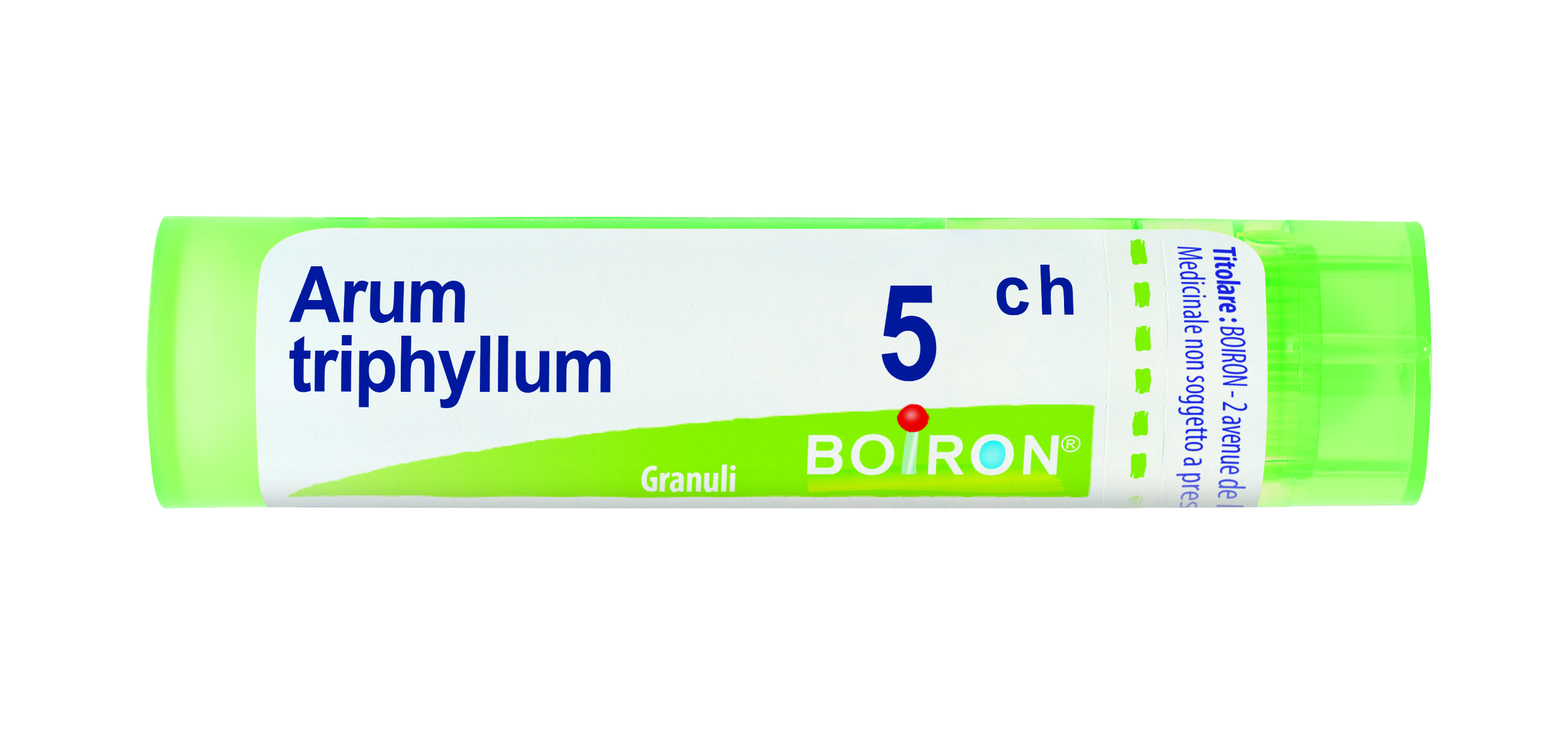 ARUM TRIPHYL BOI*5CH GR 4G - Farmapre