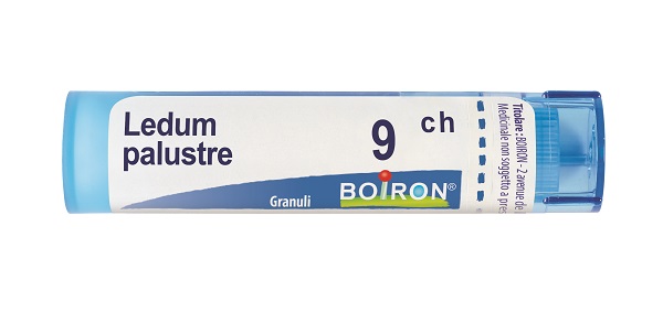 LEDUM PALUSTRE 9 CH GRANULI 4G - Farmapre