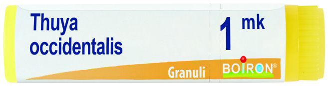 THUYA OCCIDENTALIS MK GLOBULI 1G - Farmapre