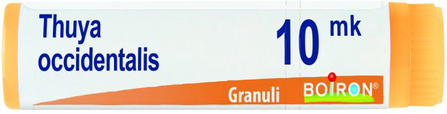 THUYA OCCIDENTALIS XMK GLOBULI 1G - Farmapre