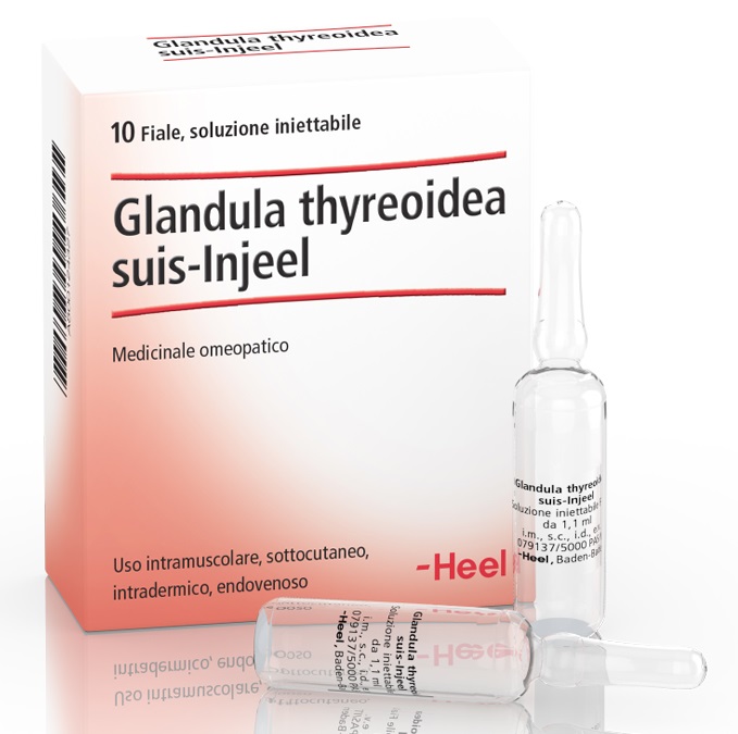 HEEL GLANDULA THYROIDEA SUIS INJEEL 10 FIALE - Farmapre
