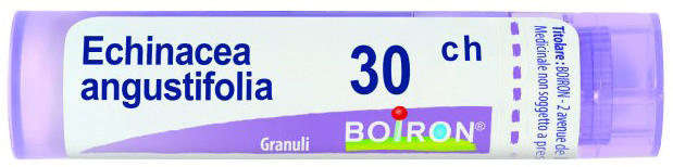 ECHINACEA ANGUSTIFOLIA 30 CH GRANULI - Farmapre