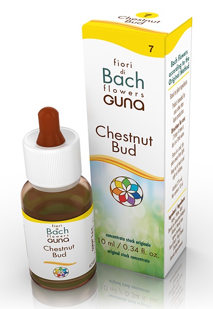 CHESTNUT BUD GOCCE 10 ML - Farmapre