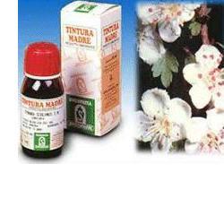BIANCOSPINO 10 50ML TM - Farmapre