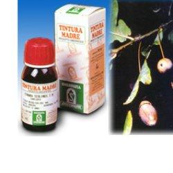 QUERCIA MARI 14 50ML TM - Farmapre