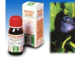 MIRTILLO 31 50ML TM - Farmapre
