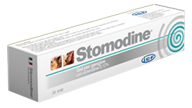 STOMODINE GEL GENGIVALE CANI 30 ML - Farmapre