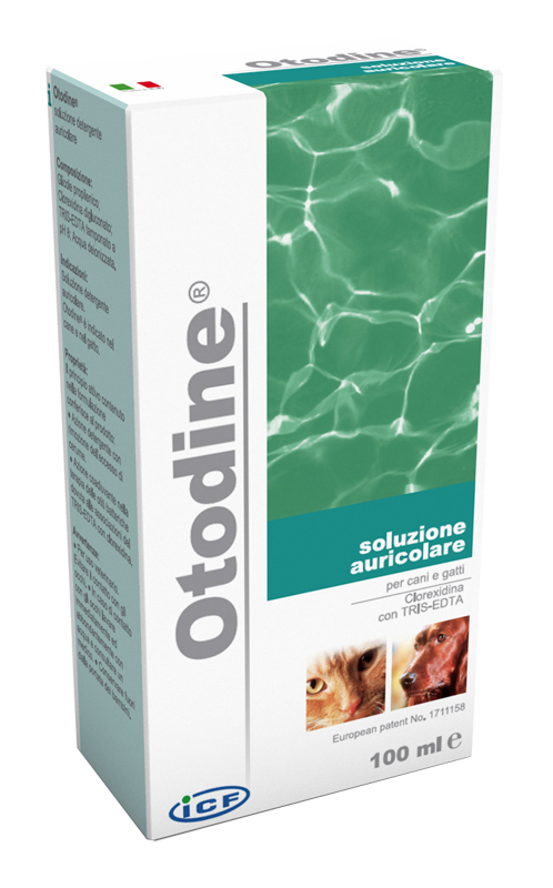 OTODINE DETERGENTE LIQUIDO 100 ML - Farmapre