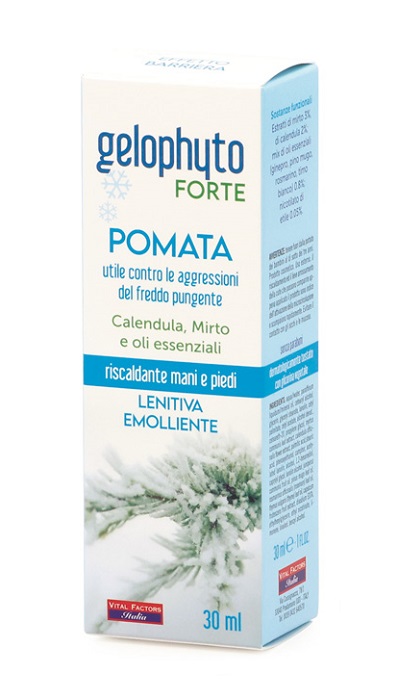 GELOPHYTO FORTE POMATA 30 ML - Farmapre