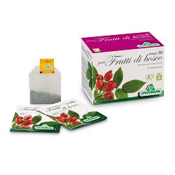 INFUSO BIO FRUTTA FRUTTI DI BOSCO 20 FILTRI - Farmapre