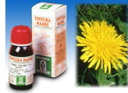 TARASSACO 28 50ML TM - Farmapre