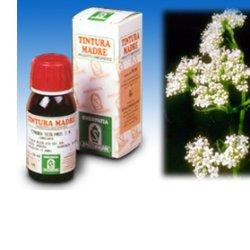 VALERIANA 36 TINTURA MADRE 50 ML - Farmapre
