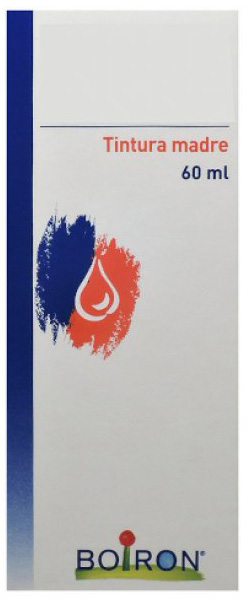 THUYA OCCIDENTALIS TINTURA MADRE 60 ML - Farmapre