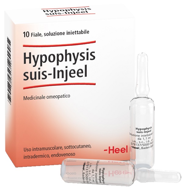 HEEL HYPOPHYSIS SUIS INJEEL 10 FIALE - Farmapre