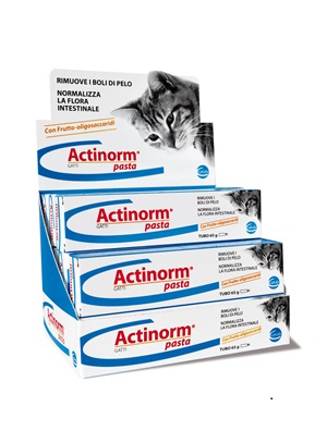 ACTINORM PASTA GATTI 65 G - Farmapre