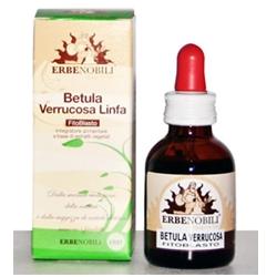 FITOBLASTO BETULLA VERRUCOSA LINFA 50 ML - Farmapre