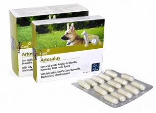 ARTOSALUS COMPRESSE 30 COMPRESSE - Farmapre