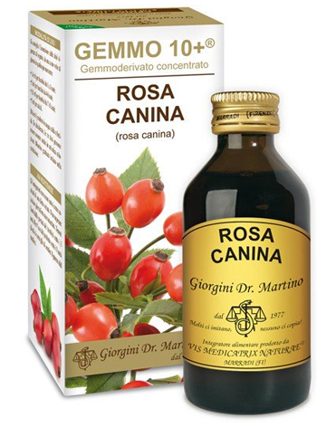 GEMMO 10+ ROSA CANINA LIQUIDO ANALCOLICO 100 ML - Farmapre
