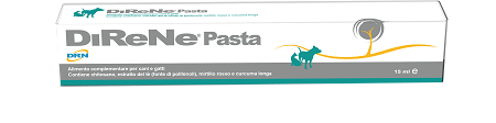 DIRENE PASTA 15 ML - Farmapre