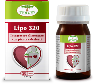 LIPO 320 30 CAPSULE - Farmapre