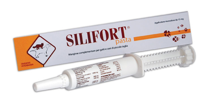 SILIFORT PASTA OS SIRINGA 30 G - Farmapre