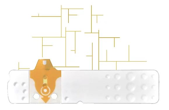 STRISCE MISURAZIONE GLICEMIA LINEA D ORO 50 PEZZI - Farmapre