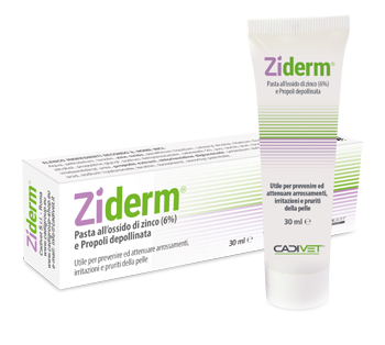 ZIDERM CREMA 30 ML - Farmapre