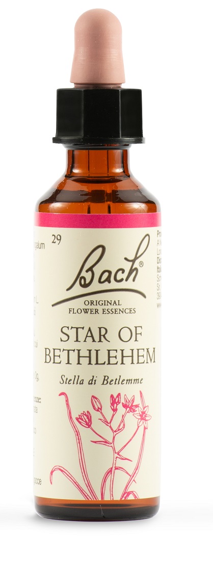 STAR OF BETHL ORIG 20 ML - Farmapre