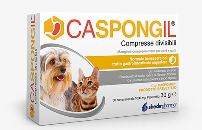 CASPONGIL 30 COMPRESSE DIVISIBILI - Farmapre