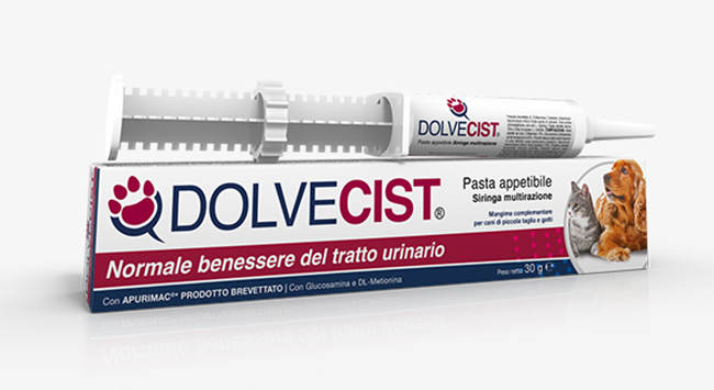 DOLVECIST PASTA SIRINGA 30 G - Farmapre