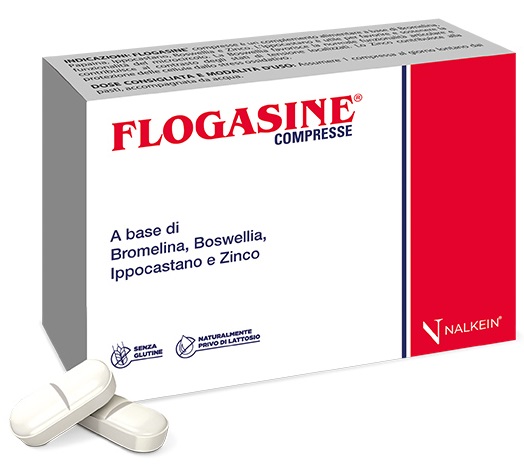 FLOGASINE 20 COMPRESSE - Farmapre