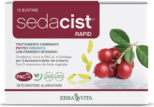 SEDACIST RAPID 6 + 6 BUSTINE - Farmapre