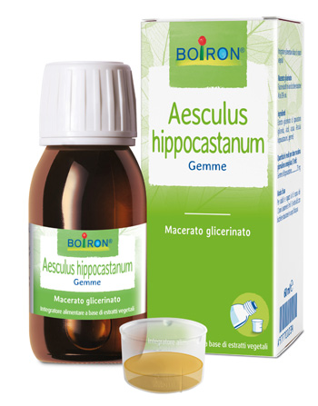 AESCULUS HIPP BOIRON MACERATO GLICERICO 60 ML - Farmapre