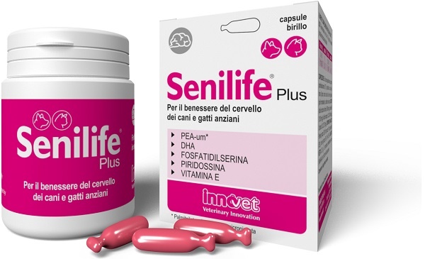 SENILIFE PLUS 60 CAPSULE - Farmapre
