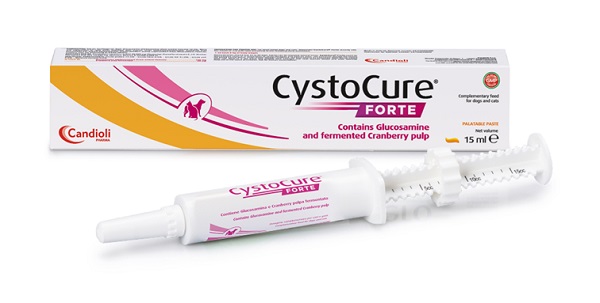 CYSTOCURE FORTE PASTA 15 ML - Farmapre