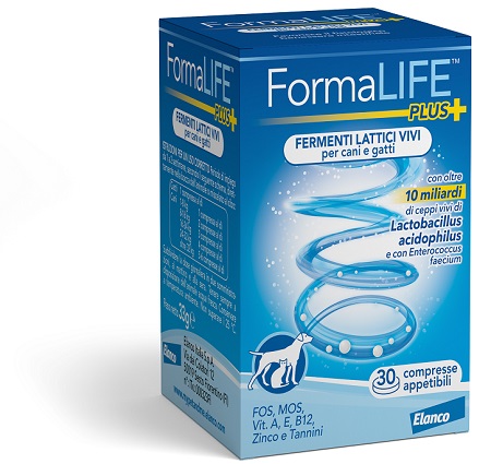 FORMALIFE PLUS FERMENTI LATTICI VIVI 30 COMPRESSE APPETIBILI - Farmapre