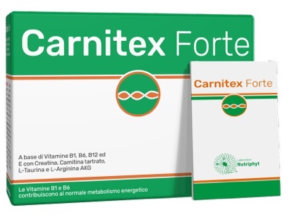 CARNITEX FORTE 14 BUSTINE - Farmapre